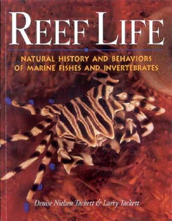 Media Review: Reef Life: Natural History And Behaviors Of Marine Fishes And Invertebrates
