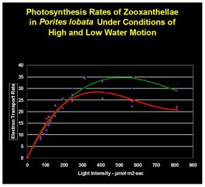 Figure9.jpg