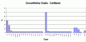 Caribbean zooxanthellae population by clade