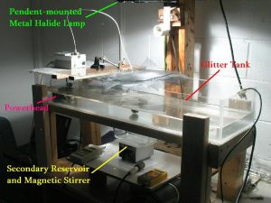 Figure1.jpg