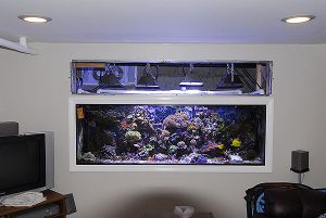 FTS_LightPLan.jpg