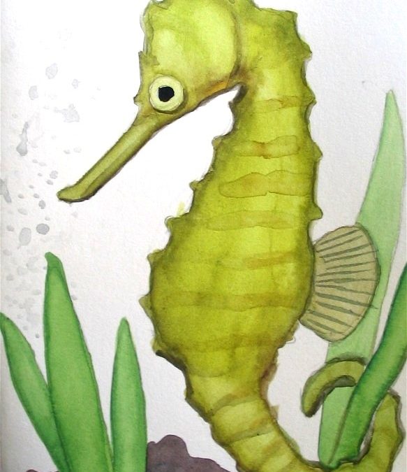 Aquarium Fish: Fish Politics