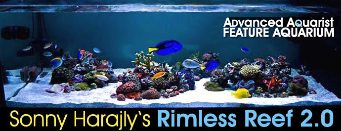 Feature Aquarium: The 246 Gallon Reef Aquarium of Sonny Harajly