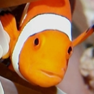 Clownfish are apparently Liberals