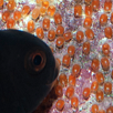 Midnight Photons – Another Hybrid Clownfish