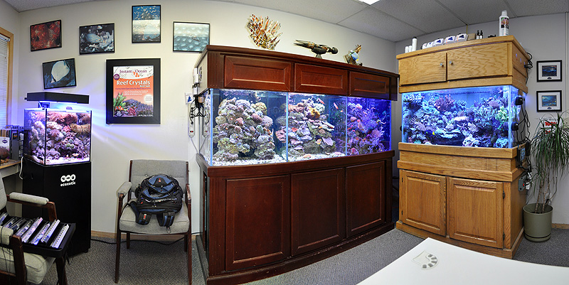The final image, a tighter shot of Kevin Kohen's office aquariums.