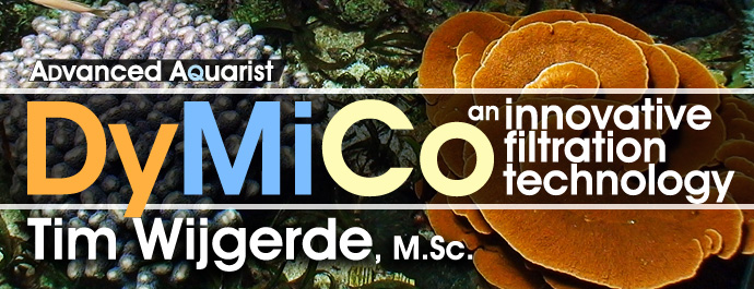 Improved husbandry of marine invertebrates using an innovative filtration technology – Part 1: DyMiCo