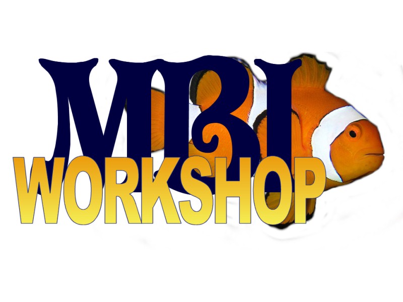 Get Your MBI Workshop Early-Bird Tickets Soon!