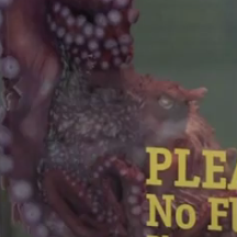 Breakthrough in octopus communication