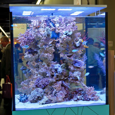 Interzoo 2012: The Coral Shop and aquaLEDs.de booths