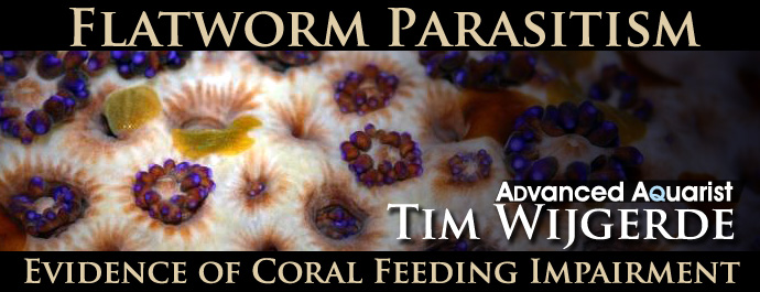 Epizoic flatworms impair coral feeding: evidence for parasitism