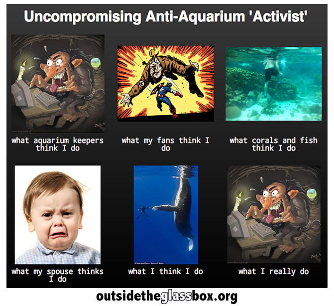 Lying about the aquarium industry has saved the ocean… Said no one, ever.