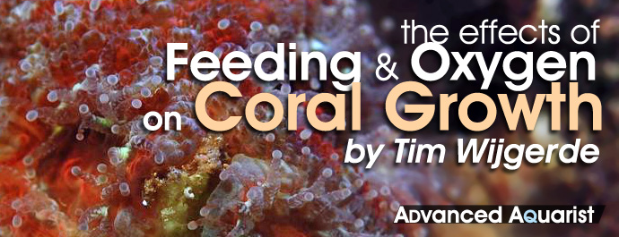 Aquarium Corals: Feeding and oxygen affect coral growth: implications for coral aquaculture