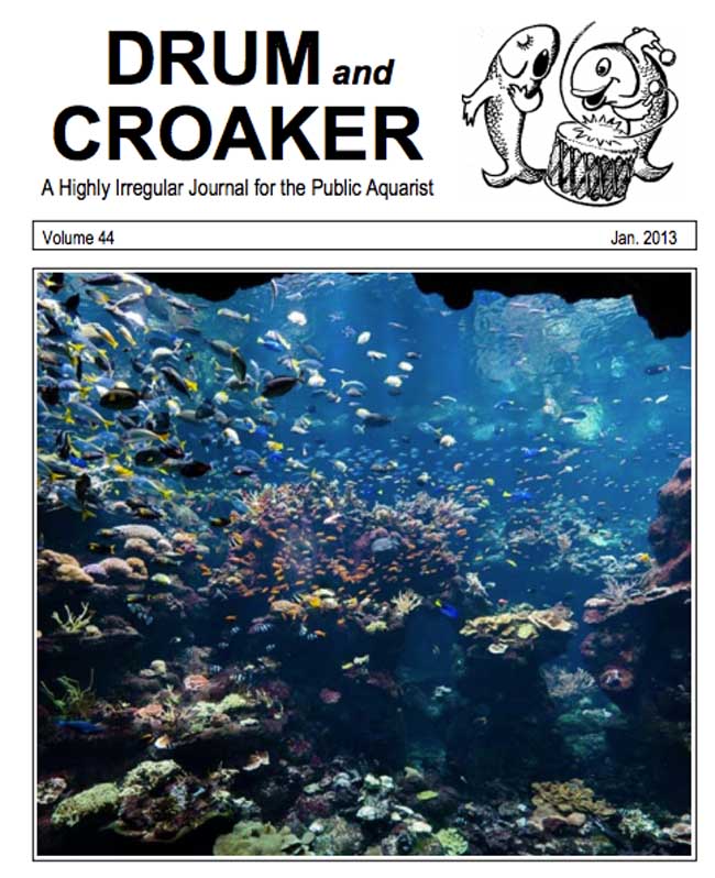 drum-and-croaker