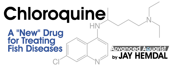Aquarium Fish: Chloroquine: A “New” Drug for Treating Fish Diseases