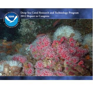 Deep Sea Coral Research Report