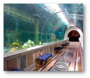 MEGA Home Aquariums in the Middle East