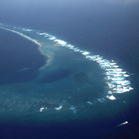 Kingman Reef: What a Reef without Humans Looks Like
