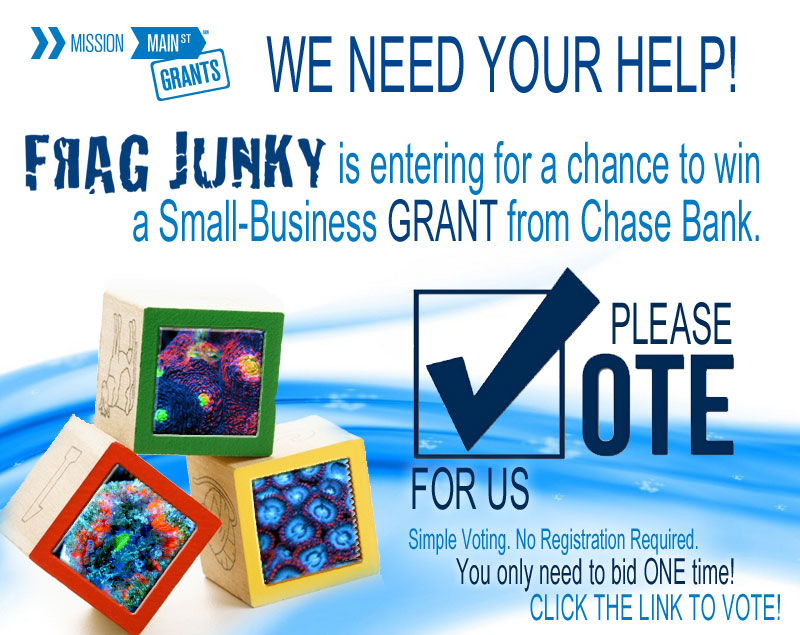 Chase-Vote-for-Us-Banner