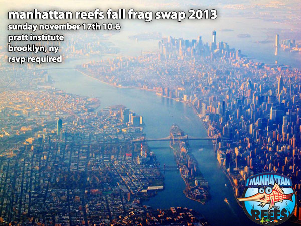 fall-2013-frag-swap-manhattan-reefs