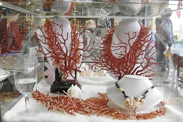 Stolen from the deep: Red corals are plundered from reefs to meet the growing taste for coral jewellery. – ELIZABETH WOOD