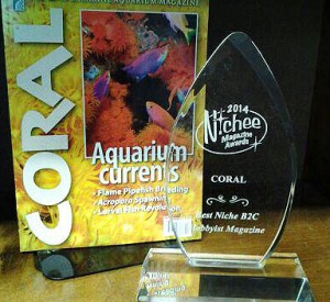 CORAL-Niche-Mag-Award-300x275