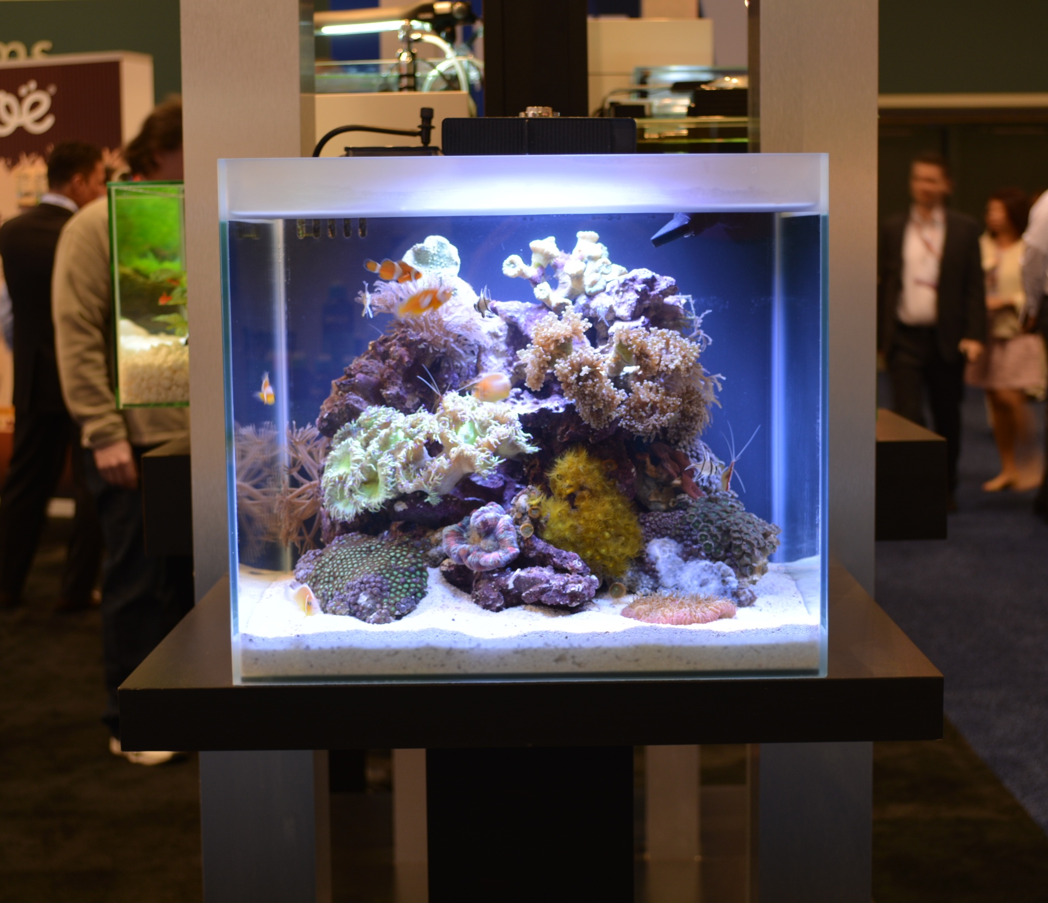 Fluval M-40 (15 gal) Desktop Reef Aquarium