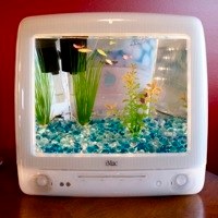 Turning Old Computers Into Aquariums