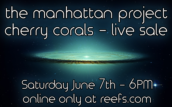 cherry-corals-live-sale