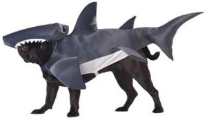 Shark Costume