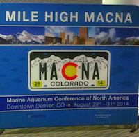 We Finally Made It! Your First Look at MACNA 2014 With Reefs.com