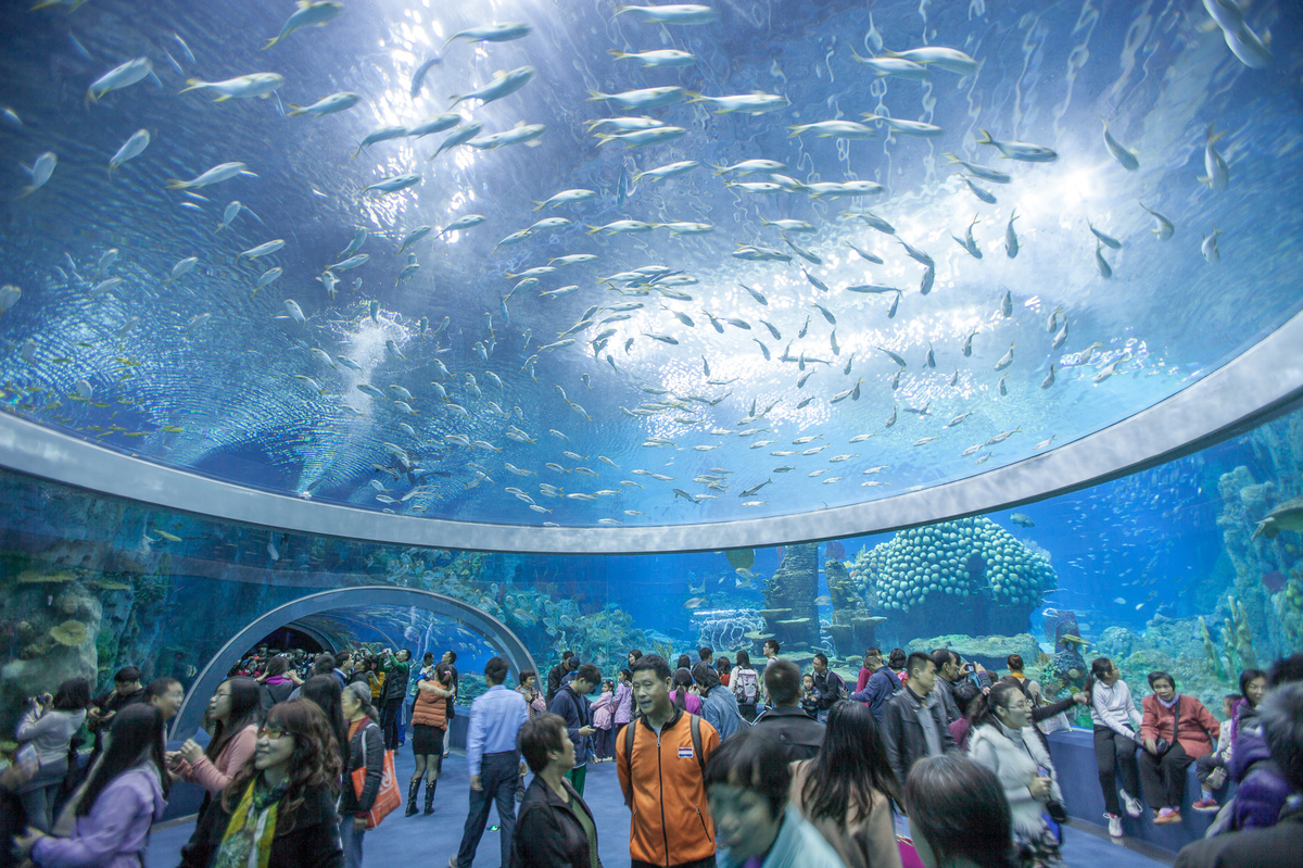 Worlds Largest Aquarium Opens in China