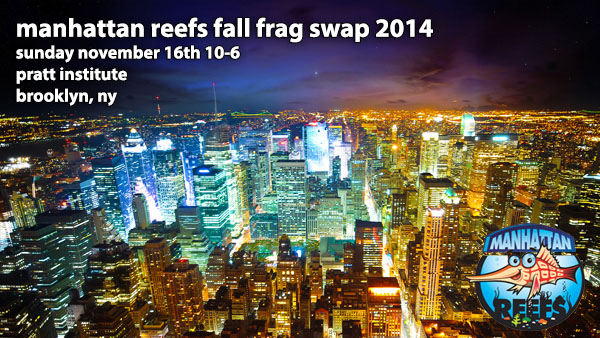 fall-2014-frag-swap