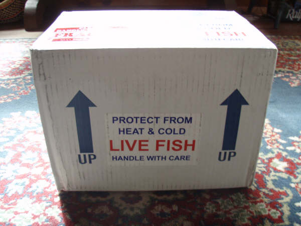order live fish online