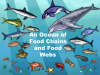 Secrets to success: Your aquarium’s food chain