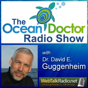 The-Ocean-Doctor-Radio-Show-Logo-V2