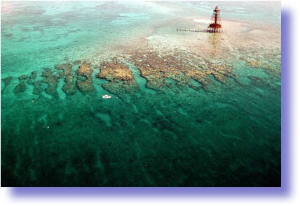 florida-keys-reefs-cropped