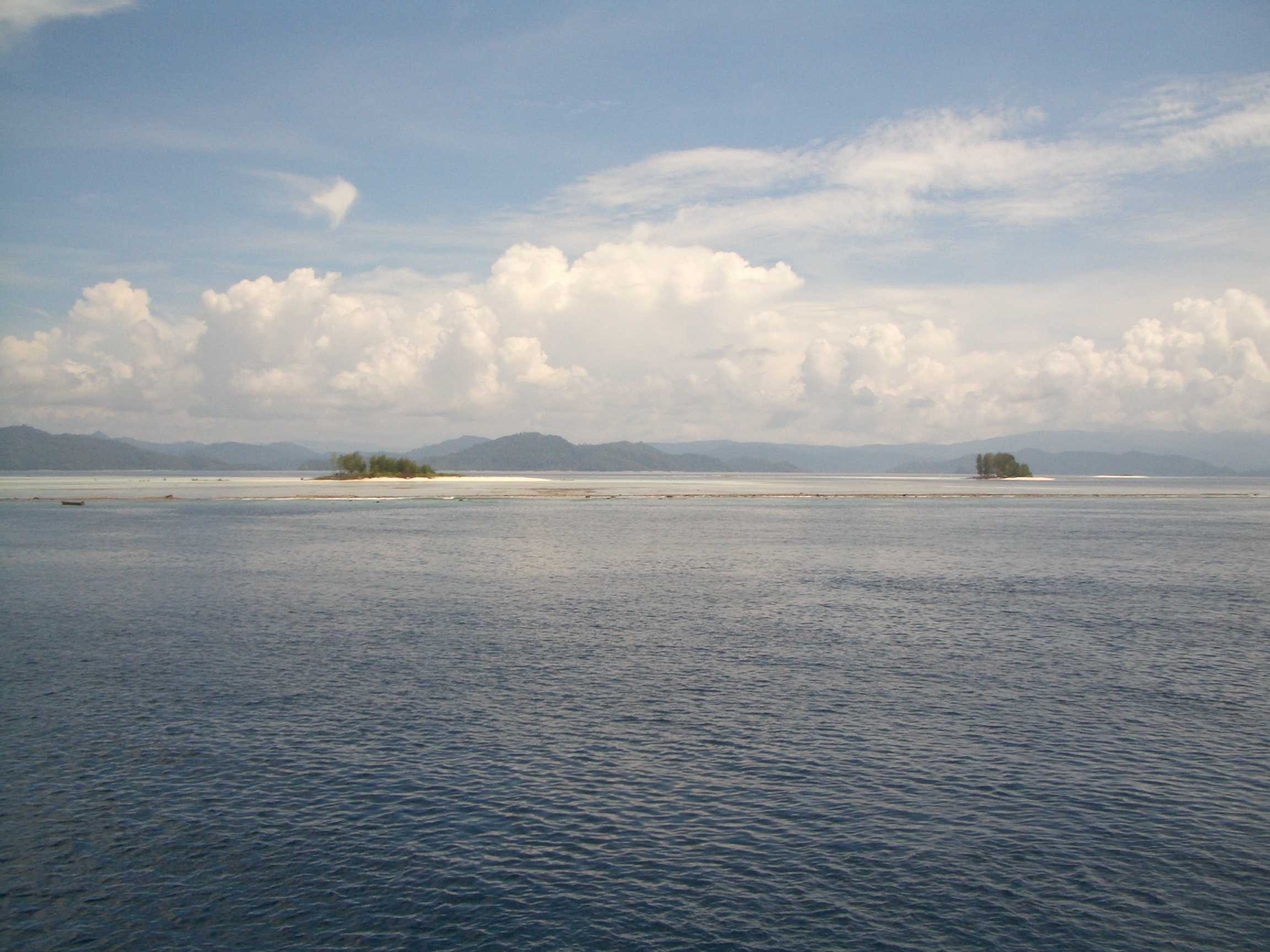 Diving Irian Jaya
