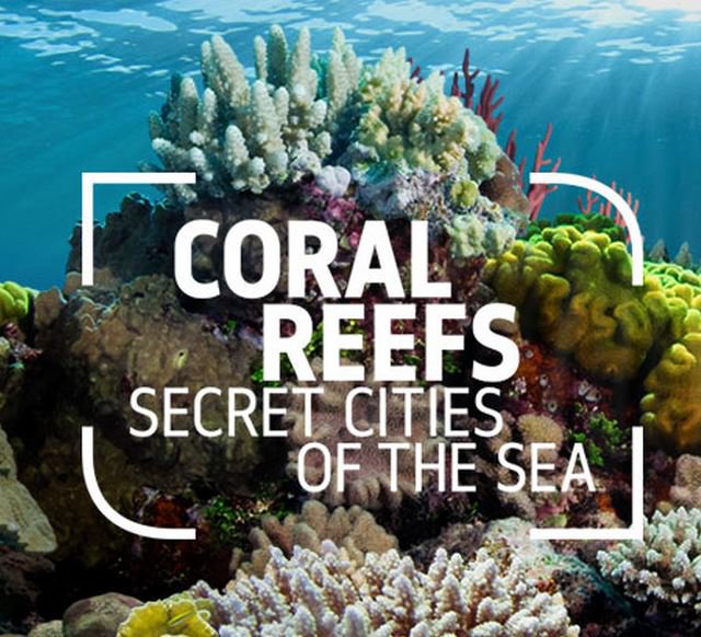 Coral-Reefs-of-the-Sea-exibition