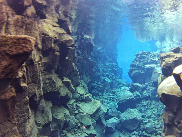 Fish Tales: Diving in Iceland
