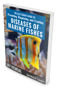 Disease-Marine_Fishes_cover