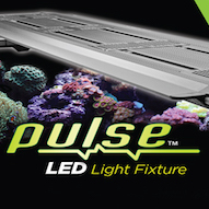 Pulse LED Marine Fixture from AquaticLife is a Smart New Option for Reefers