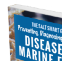 “Diseases of Marine Fishes” Guide Winners Announced!