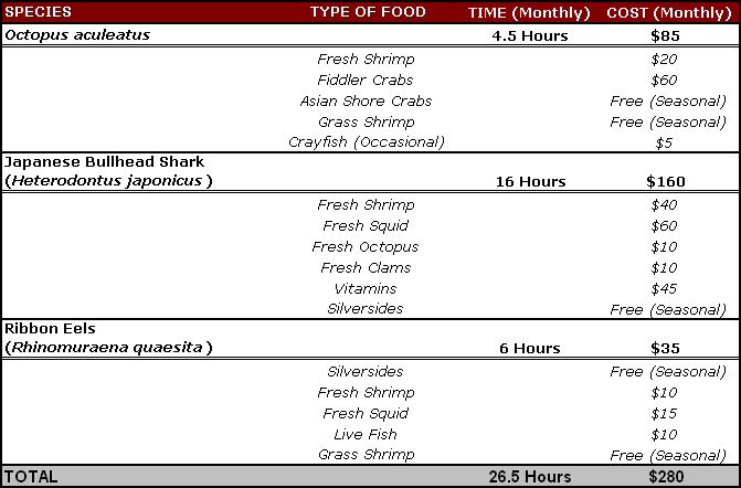 The time and money exerted to keep advanced aquarist species is an investment many hobbyist are not prepared for or aware of. This table highlights some of the species discussed in this article and the average monthly cost and time spent practicing the PROPER care. Items noted "seasonal" are live foods I collect locally. If shore access and/or time is limited or non-existent, the monthly cost for keeping these species can be significantly higher.