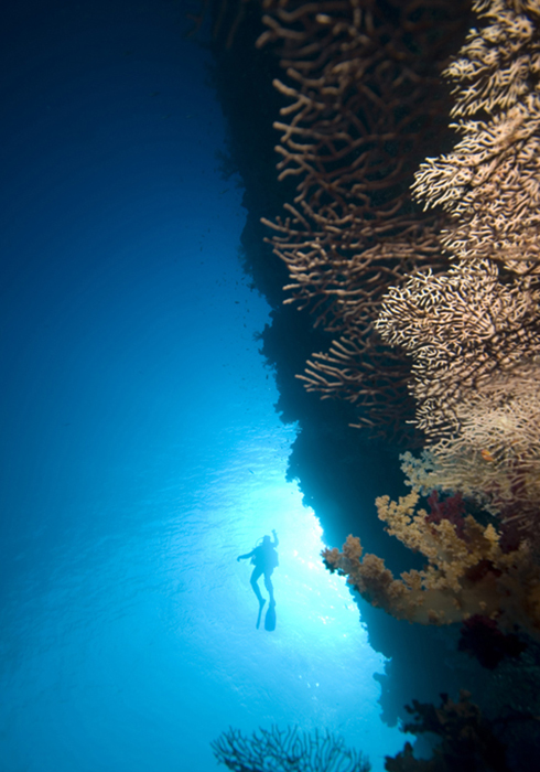 A lone diver lends some scale to the reef wall, in this case formed by an iron hull not rock.