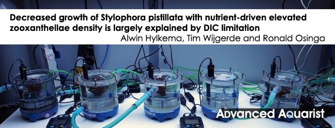 Decreased growth of Stylophora pistillata with nutrient-driven elevated zooxanthellae density is largely explained by DIC limitation