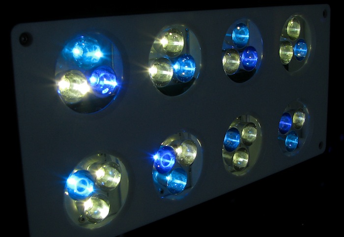 The tricolor pucks in this Aqua Illumination LED shows the difference between blue and royal blue LEDs.