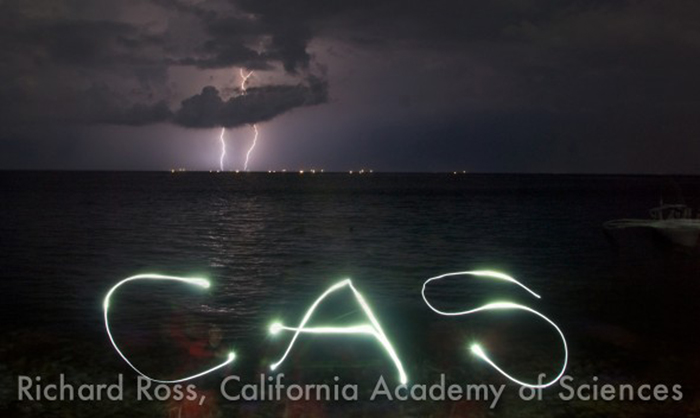 This is a time lapse shot of lightning and Matt Wandell writing CAS (California Academy of Sciences) in the air with a dive light.