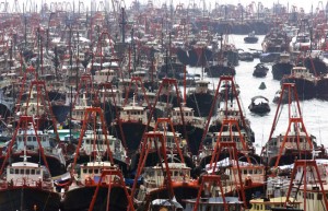 oceans_impacts_seas_degradation_commercial_fishing_trawlers_overfishing_q