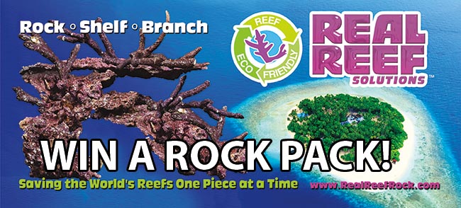You Rock! Now Prove It and Win Some Real Reef Rock!